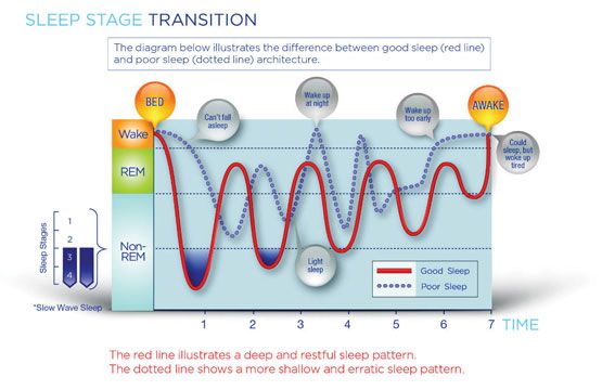 Sleep-Cycle-Graph