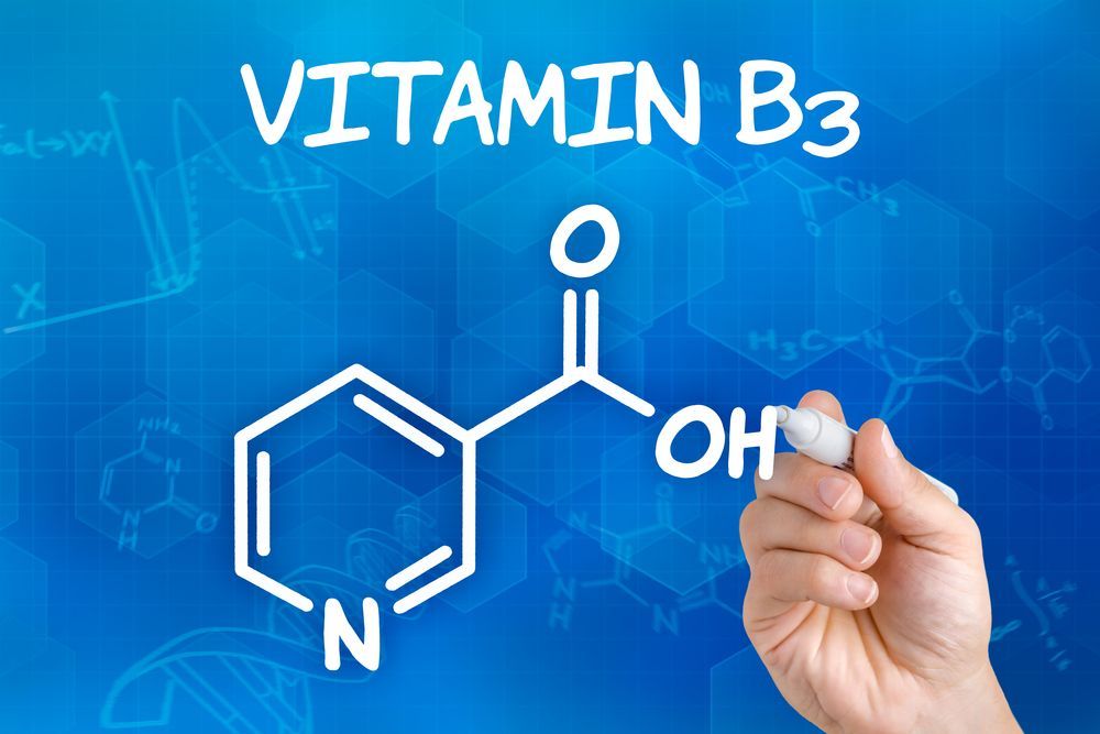 Ing SL Vitamin B3