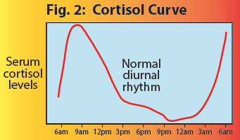 Cortisol curve
